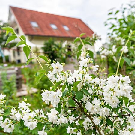 Beutenmuehle Straussenfarm Dach Owingen Ngoại thất bức ảnh