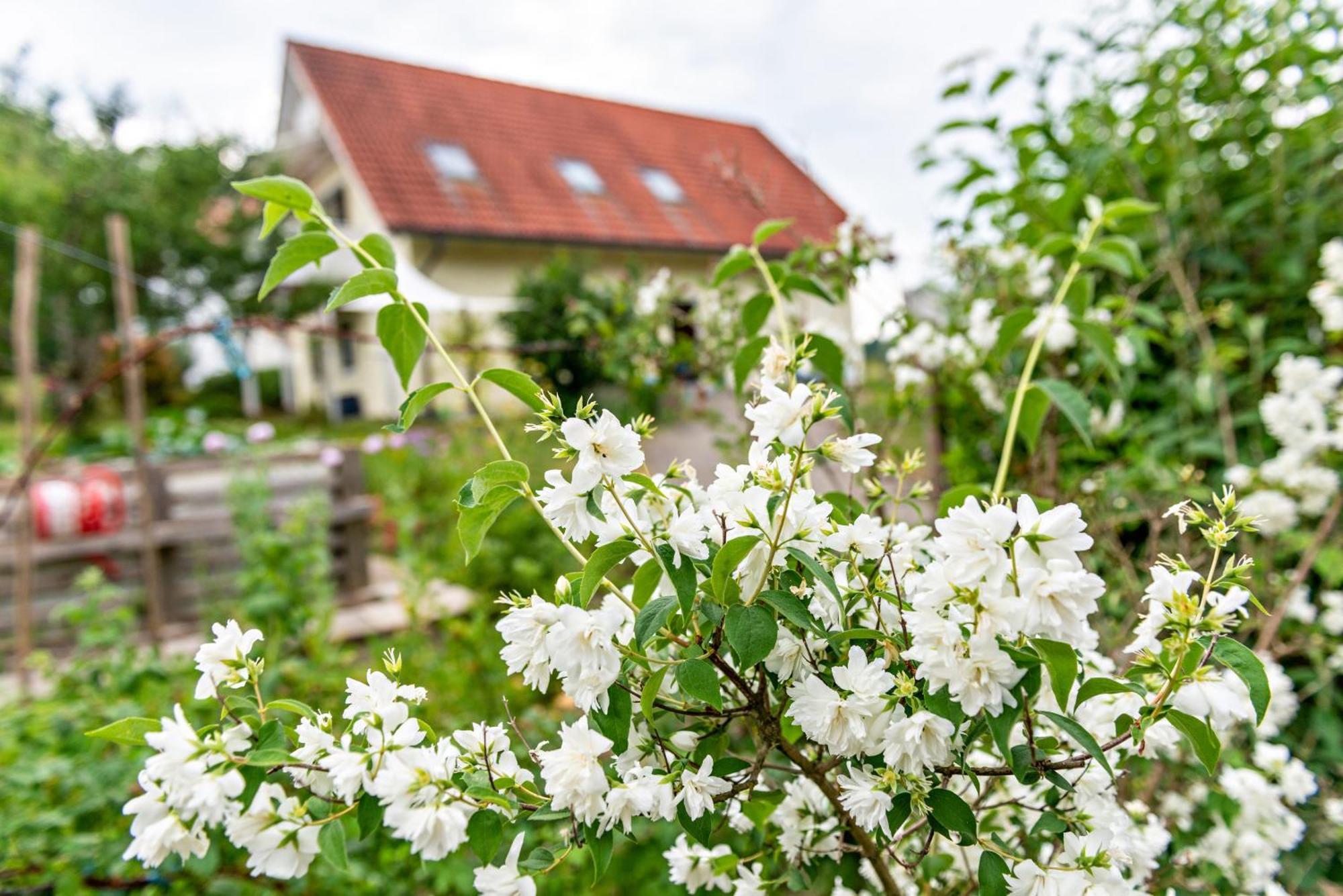 Beutenmuehle Straussenfarm Dach Owingen Ngoại thất bức ảnh